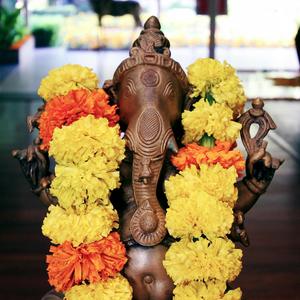 Om gam ganapataye namaha
