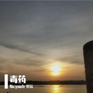 毒药（翻自 潘成）