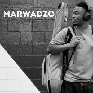 Marwadzo