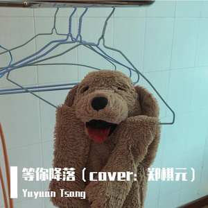 等你降落（cover：郑棋元）（翻自 郑棋元）