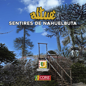 SEGUIDILLA