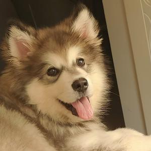 姑娘你别哭泣01