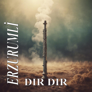 Dır Dır