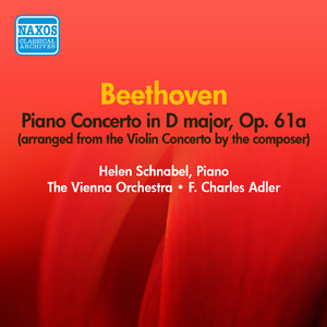 Piano Concerto in D Major, Op. 61a:I. Allegro, ma non troppo