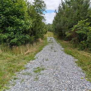 These Are Special Times