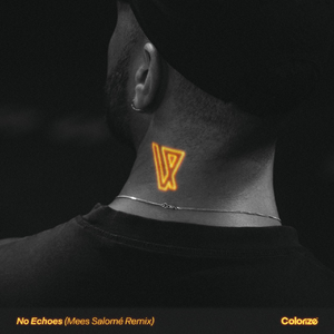 No Echoes (Mees Salomé Extended Remix)