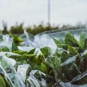 品尝人间烟火色 (铃铛曲)