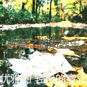 柔和的养生时刻