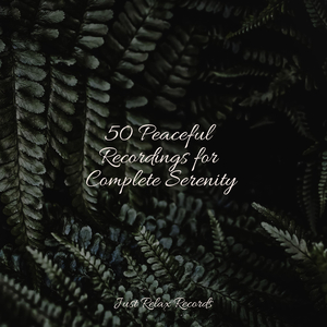 Enchanted Jade Dreams