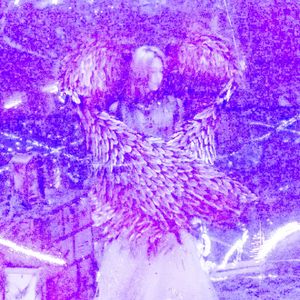 蝴蝶振翅