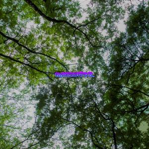 greenwater (feat. Lil skele)