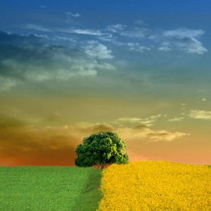 拥有你我的世界才能完美（piano ver.）