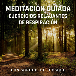 Sintiendo Comodidad y Satisfacción