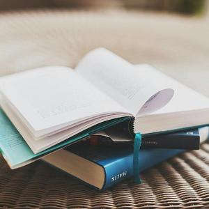 山村迎亲人（钢伴）