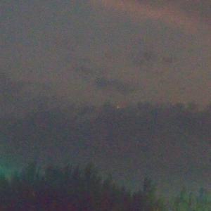 鸽子（翻自 徐秉龙）