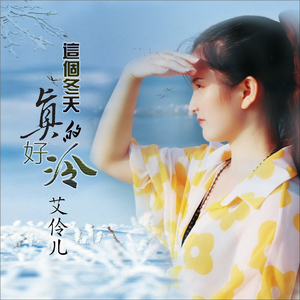 这个冬天真的好冷 (DJ版)