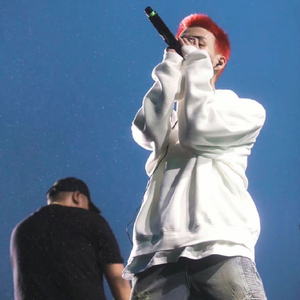 苦撑 桃花劫.mp3