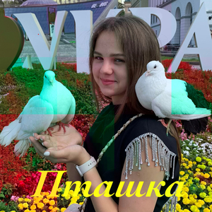 Пташка