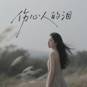 伤心人的泪 (Cover 韩小欠)