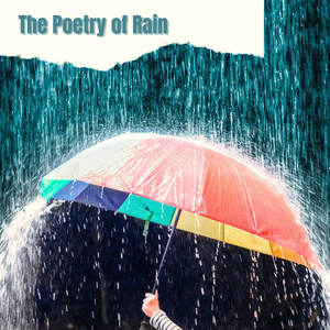 The Poetry of Rain