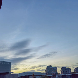 【FREE】“立 ”