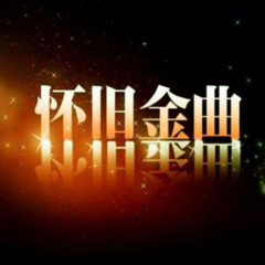 我看着寂寞长大