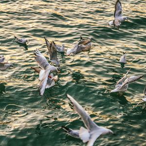 "毁" Playboi Carti × Pi'erre Bourne Type Beat