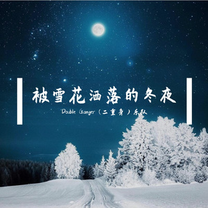被雪花洒落的冬夜