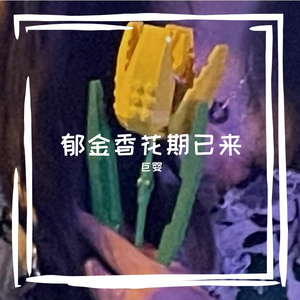 郁金香花期已来