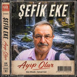 Ayıp Olur