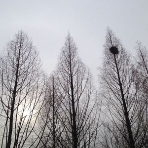 끝내 (Finally) E major