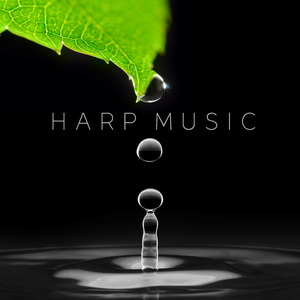 구름 비행 (하프) (빗소리 ASMR)