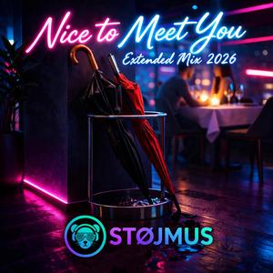 Nice to Meet You (Extended Mix 2026)