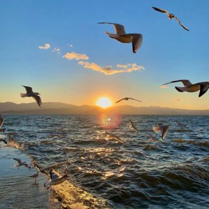 一直游到海水变蓝