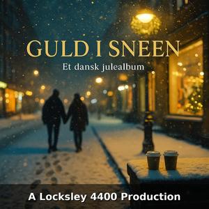 Halvmåne I December