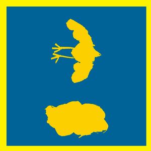 거짓말은 하고 싶지 않아