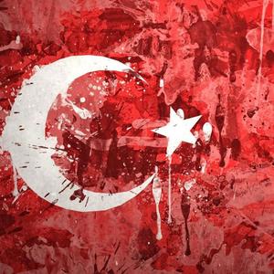 Türk'üm Ben