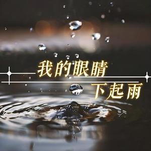 我的眼睛下起雨