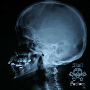 The Cluster (Lucas Magalhaes Remix)