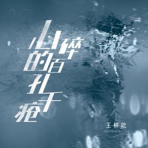 心碎的百孔千疮 (DJ陌梦版)