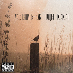 Услышать как птицы поют