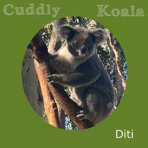 Cuddly Koala (with. John Sweeting)