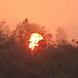 《光已离场》
