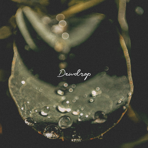 Dewdrop