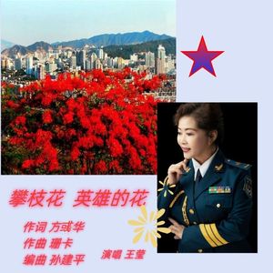 攀枝花，英雄的花
