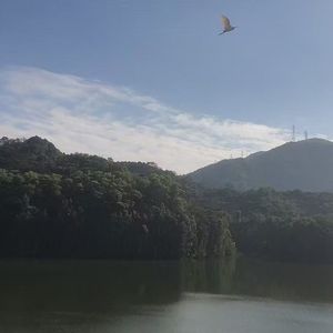 两处相思雪落情愁 伴奏