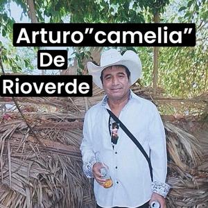 El Corrido De Galdino