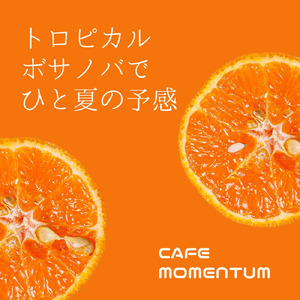 サトウキビ畑の午後