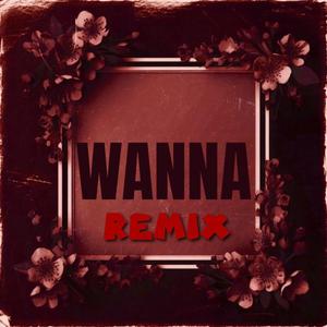 W A N N A (DA DOLL MIX) (feat. Prince Papi, Buzzbunny, WOAAH.D33, s0lidace & Steven Mayweather)