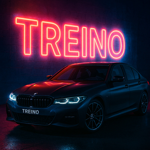 Treino